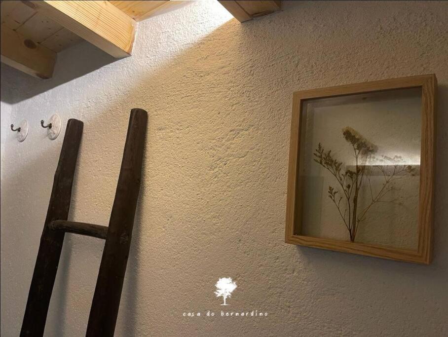Cabril  Casa Do Bernardinoヴィラ エクステリア 写真